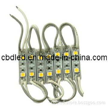 Economical LED Module Light with 2LEDs SMD5050